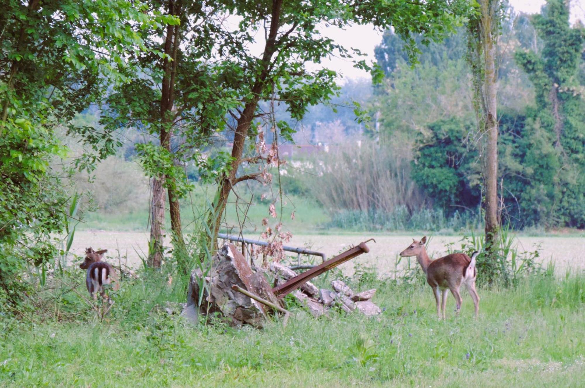Valle Isola 