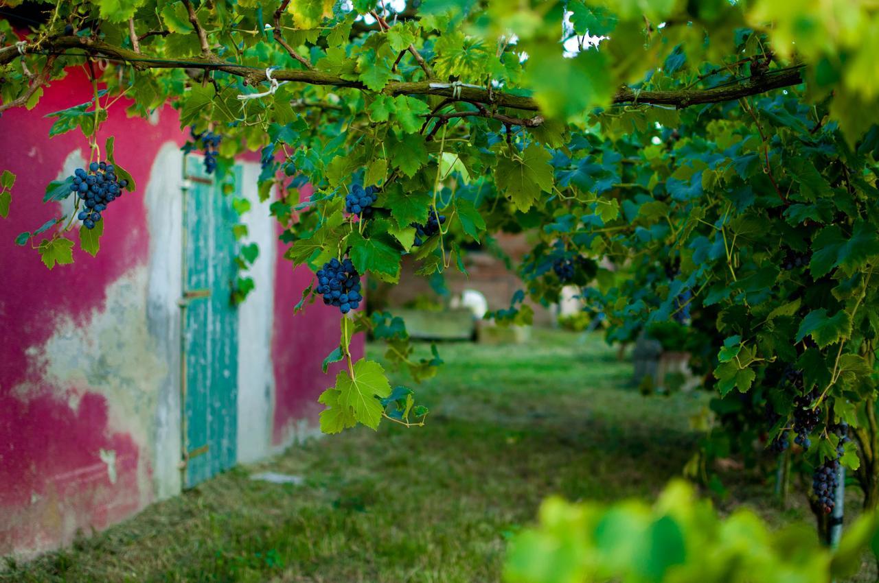 Séjour à la ferme Valle Isola 